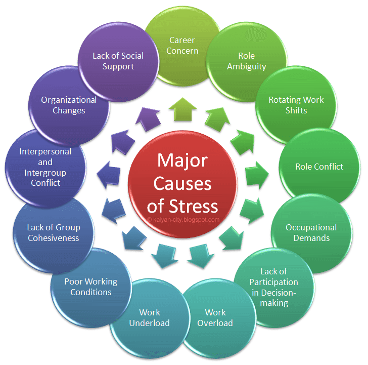 The Causes Of Work Related Stress In