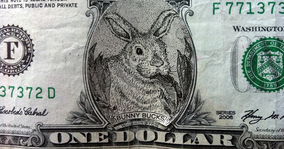 Rabbit Ramblings Bunny money
