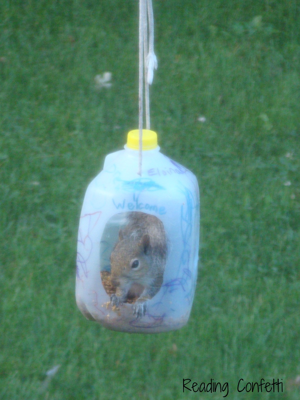 bird feeder from a milk jug reading confetti bird feeder from a milk jug reading confetti