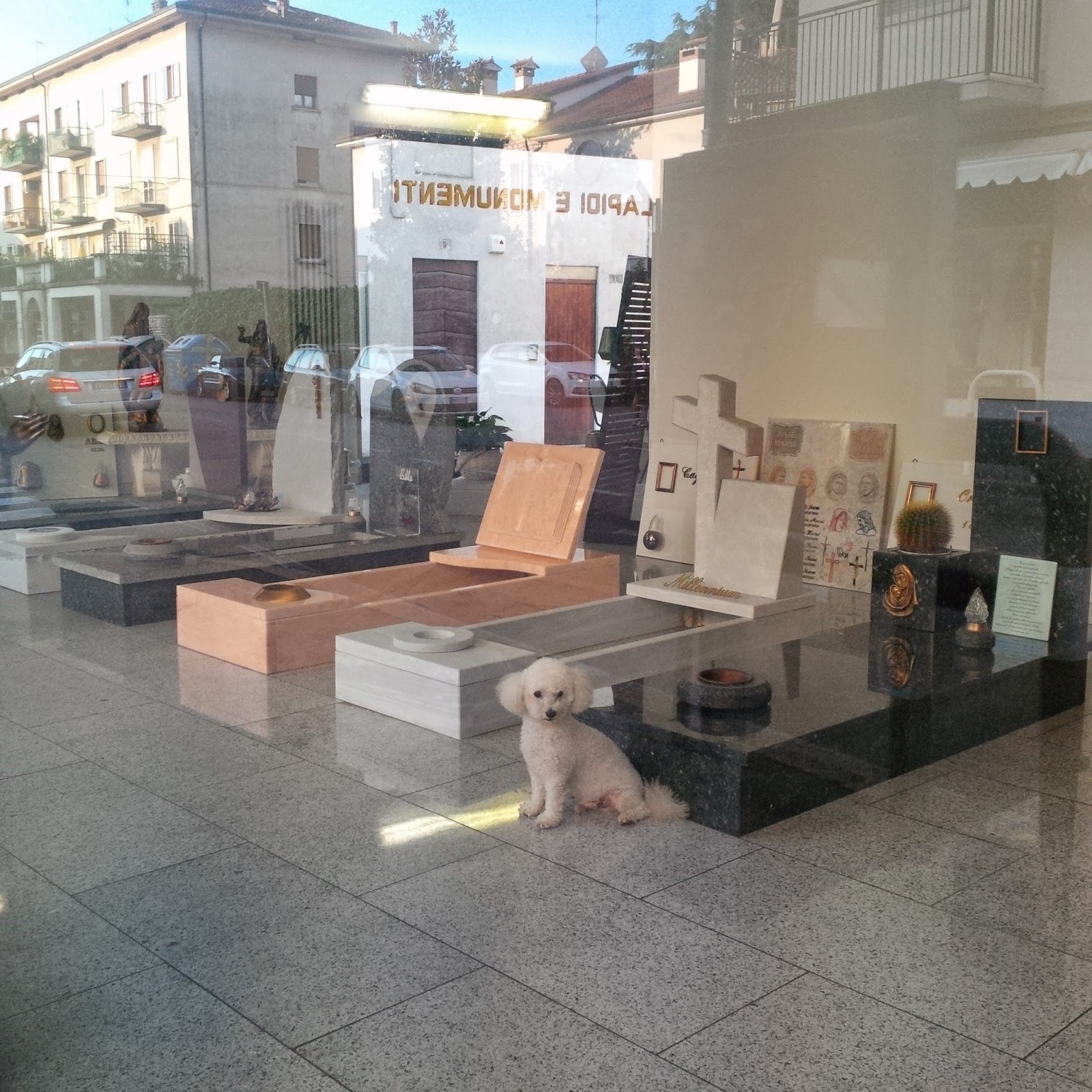 A cute little dog spends his days in this funeral shop