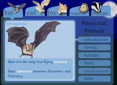 NOCTURNAL ANIMALS AROUND THE WORLD | ENGLISH LANGUAGE RESOURCES FOR ENGLISH  YOUNG LEARNERS WITH CAMBRIDGE - ESOL EXAMINATIONS