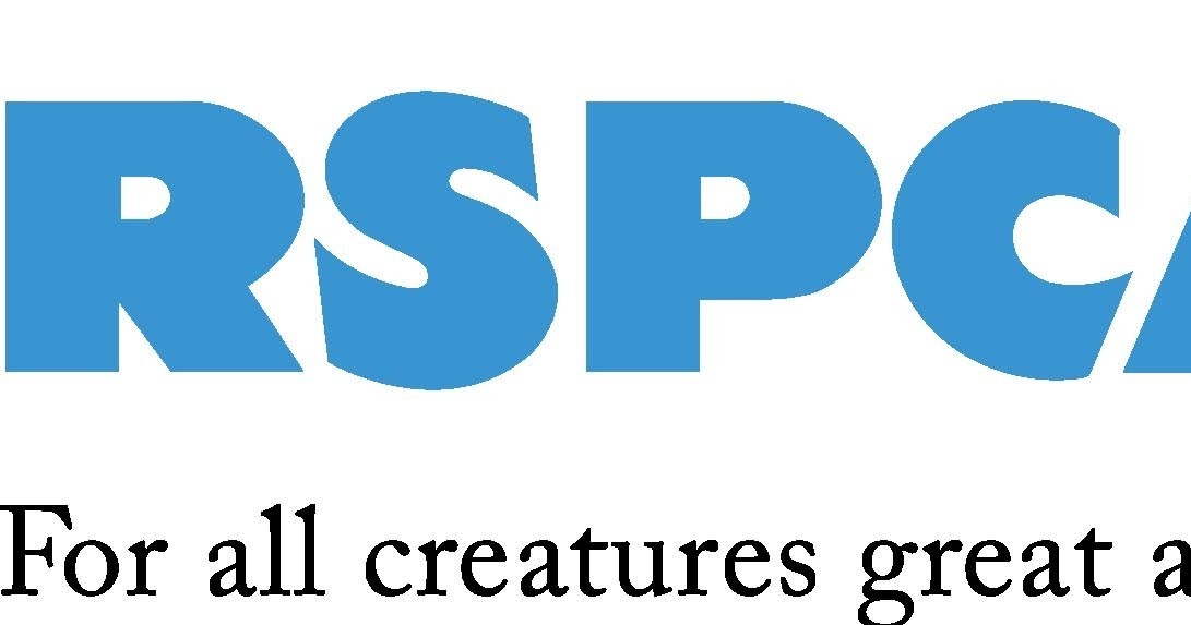 What Is Rspca Cupcake Day
