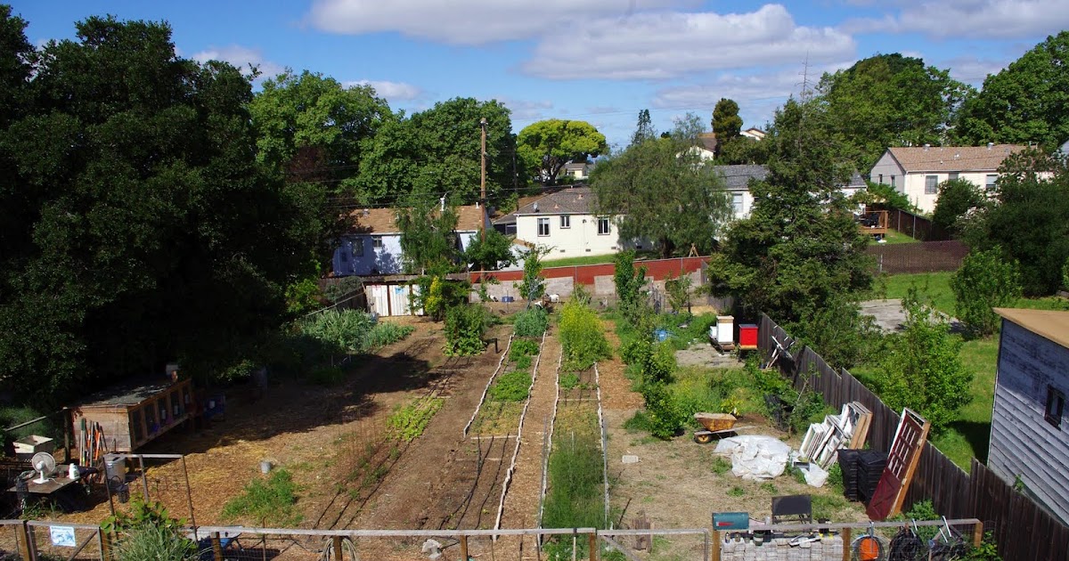 Backyard Farming: Your Backyard Farm