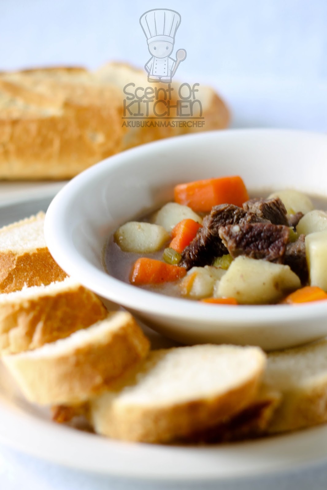 Aku Bukan Masterchef Resepi 196 Stew Daging Lembu