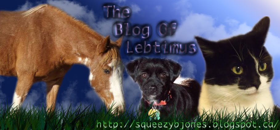 The Blog of Lebtimus 