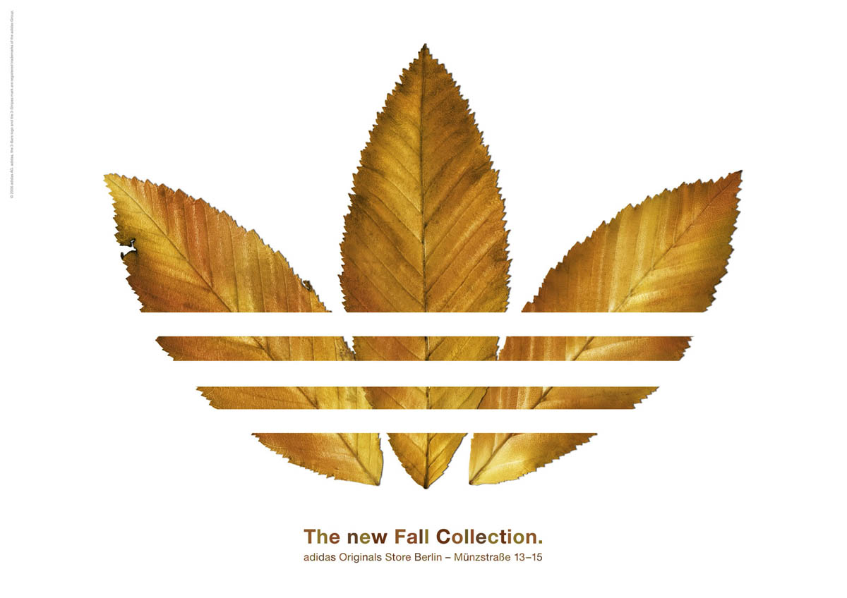 http://2.bp.blogspot.com/-CtDB3br8JbI/ThXUv3rheDI/AAAAAAAAB9o/bn33ExUrZYA/s1600/adidasfallcollection.jpg
