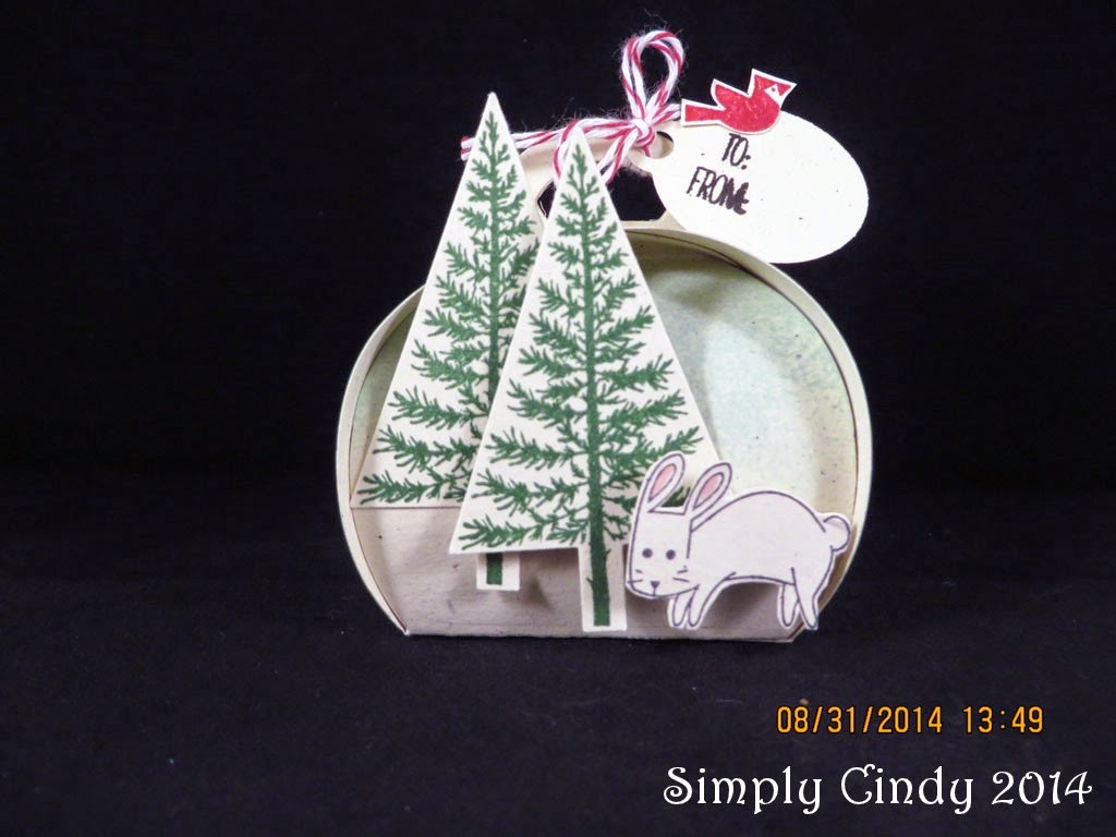Simply Cindy Crafts My Curvy Keepsakes Box