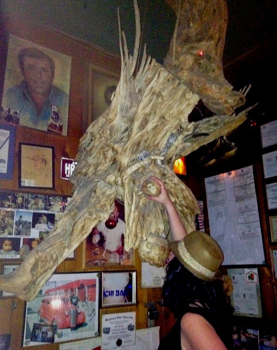 Blog The Meet Rack Tucson, Arizona March 1998