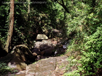 Sri Lankan beautiful water falls, Ehaliyagoda, Ellawala, Manan Alla, Places to visit near Rathnapura
