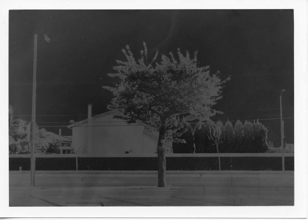 Kennedy High School Photography Solarization