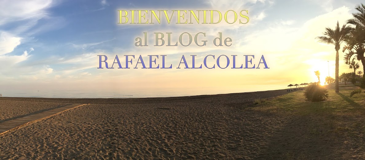 RAFAEL ALCOLEA HAROLD            