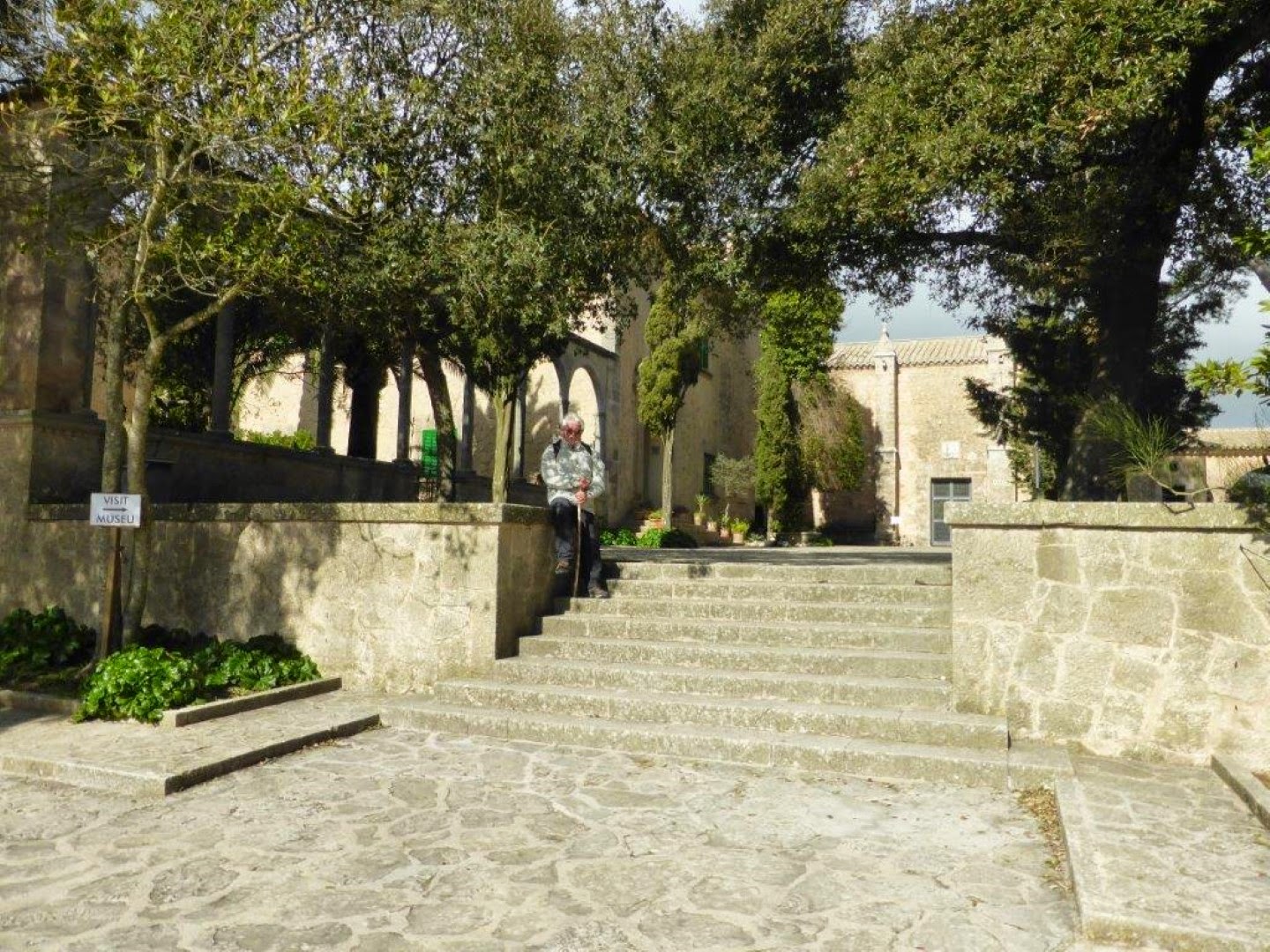 Uberwintern Auf Mallorca Februar 2015