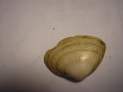 [Image: P8270675.JPG]