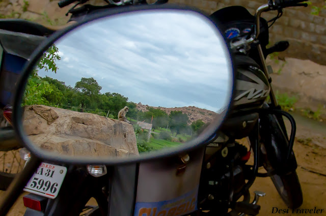 Monkey In Mirror  on way to birthplace of hanuman anegundi near hampi