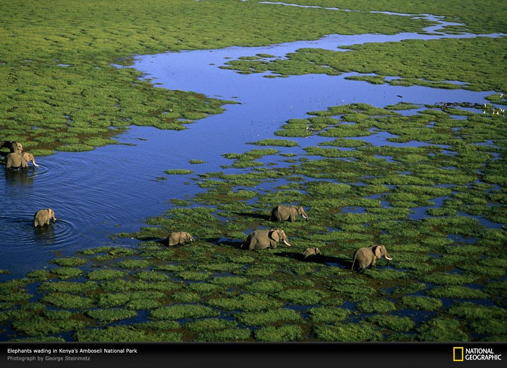 Free High-Definition Wallpapers: Best National Geographic ...