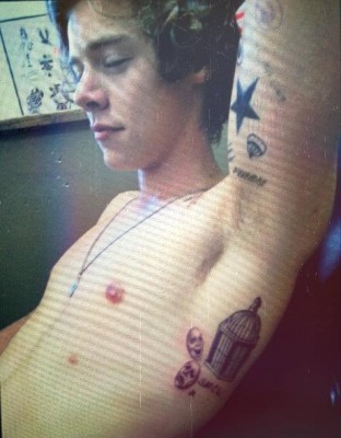 Harry Styles Nipples