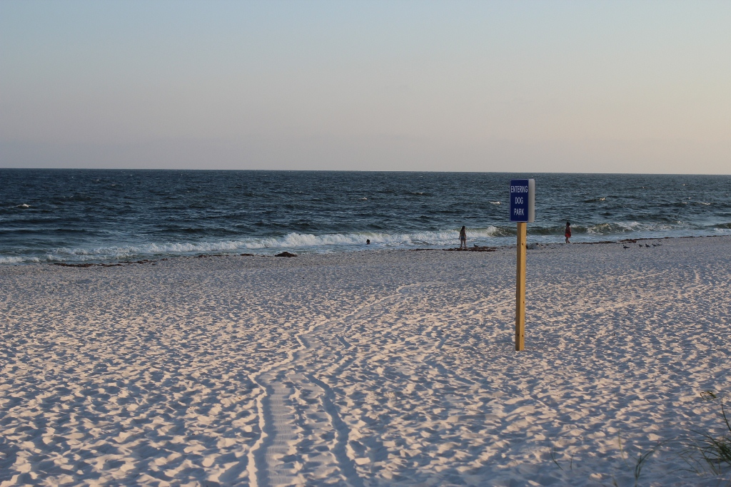 Love to Live in Pensacola, Florida Dog Beaches open on Perdido Key Beach!