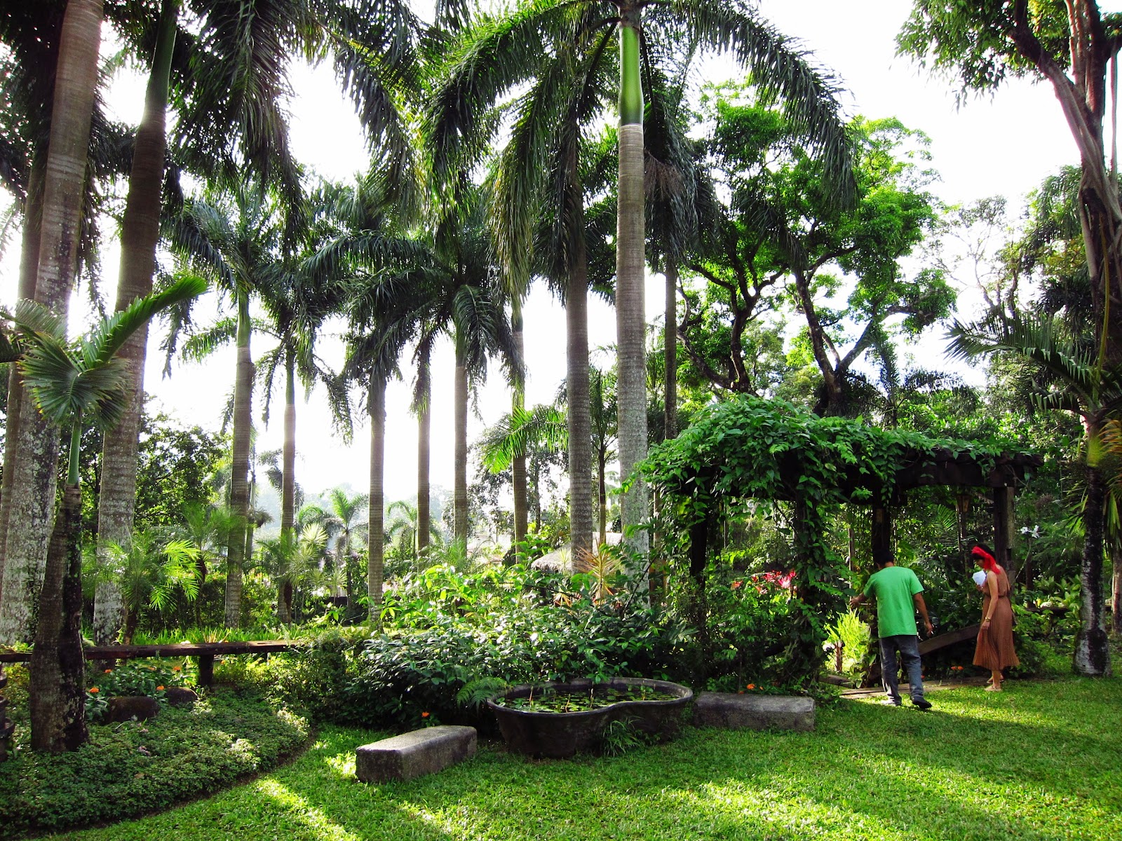 jardin de miramar practical pinay jardin de miramar jardin de miramar practical pinay jardin de miramar