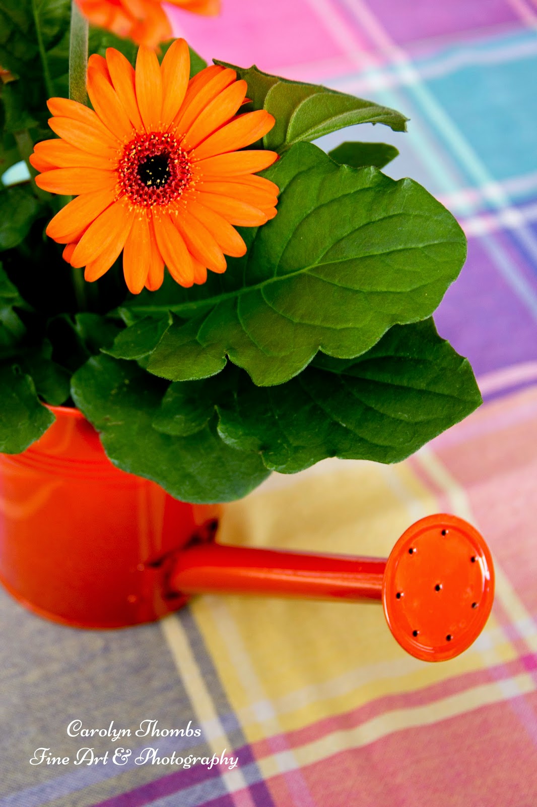 Lipstick & Chiffon Because There is No Such Thing as Too Many Flowers...