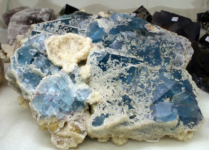 Louisville Fossils and Beyond Clement Museum Mineral Show June 45, 2011