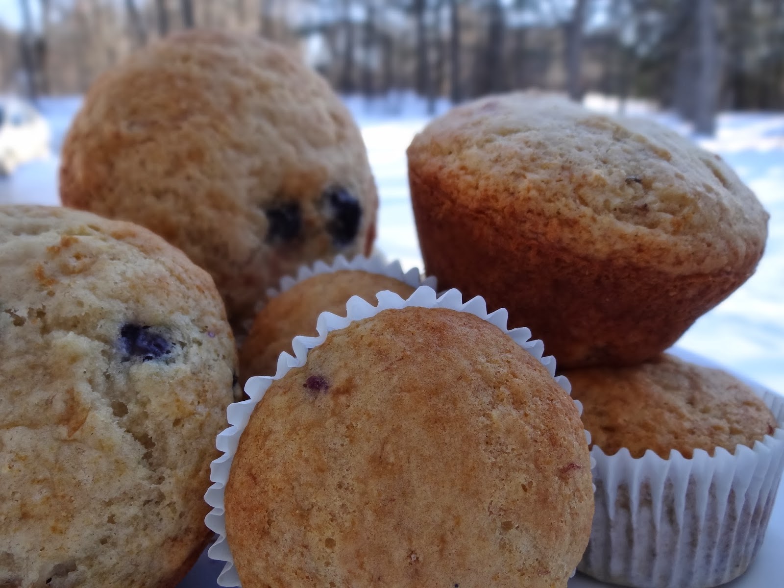 Family A Recipe for Life BlueberryOrange Muffins Florida Orange
