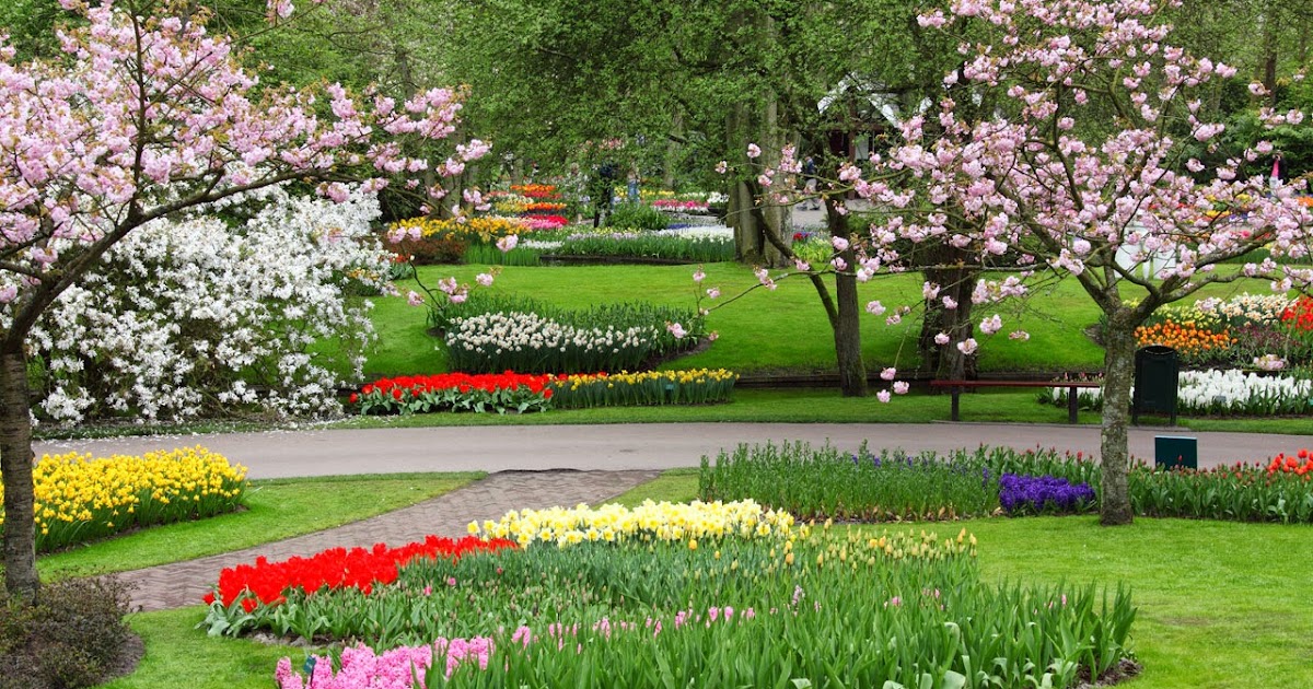 Garden Fancy: A beautiful spring garden area (in my mind)