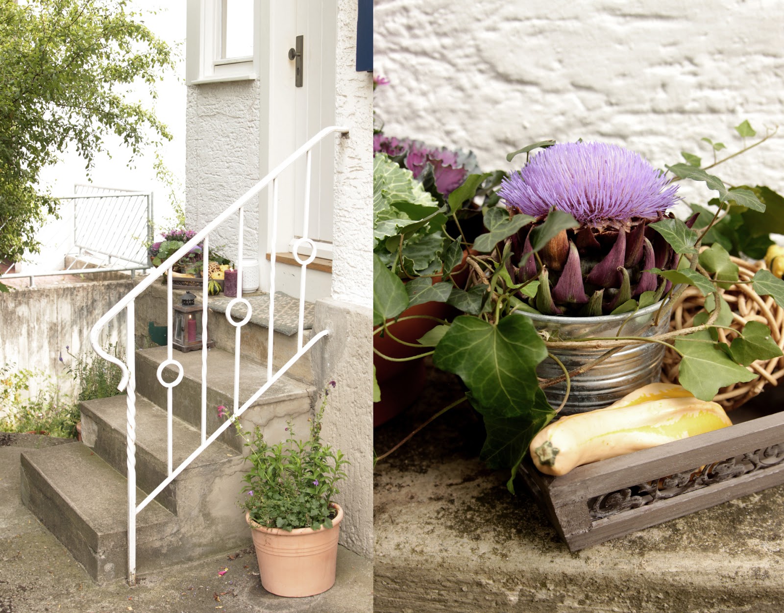 Stardrop Auf Der Mauer Auf Der Lauer