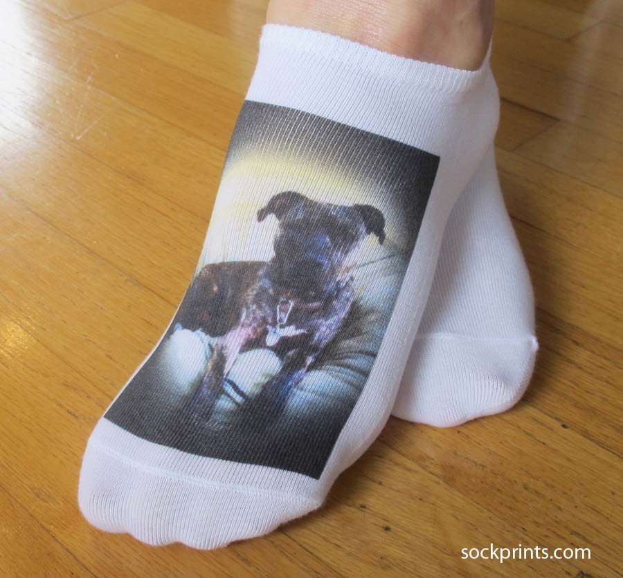 The Happy Sole Pet Inspired Socks Photos and Giveaway