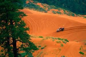 Coral Sand Dunes