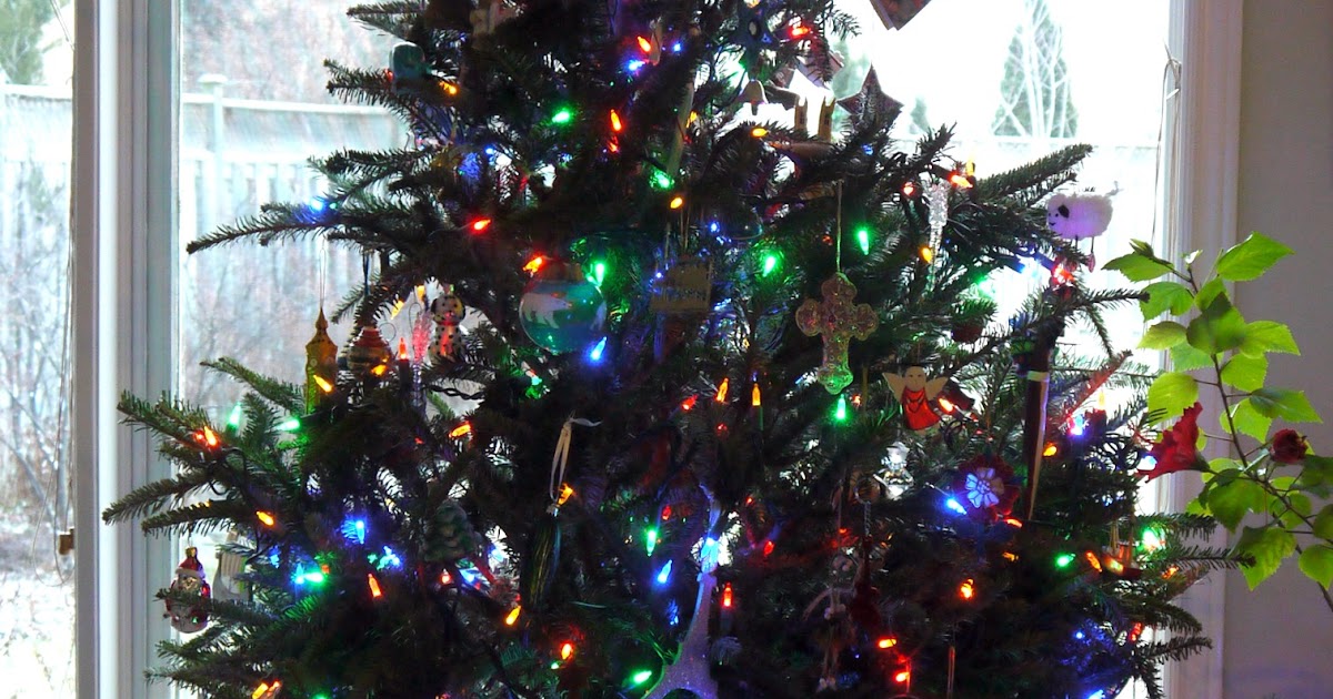 Sense and Simplicity The Tree is Trimmed