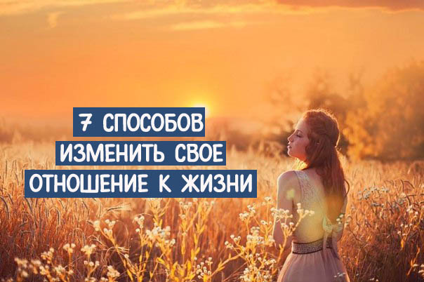 Какие прививки делают котятам и когда делать Как сделать дверь из досок своими руками