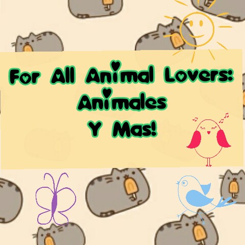 For All Animal Lovers:Animales y mas