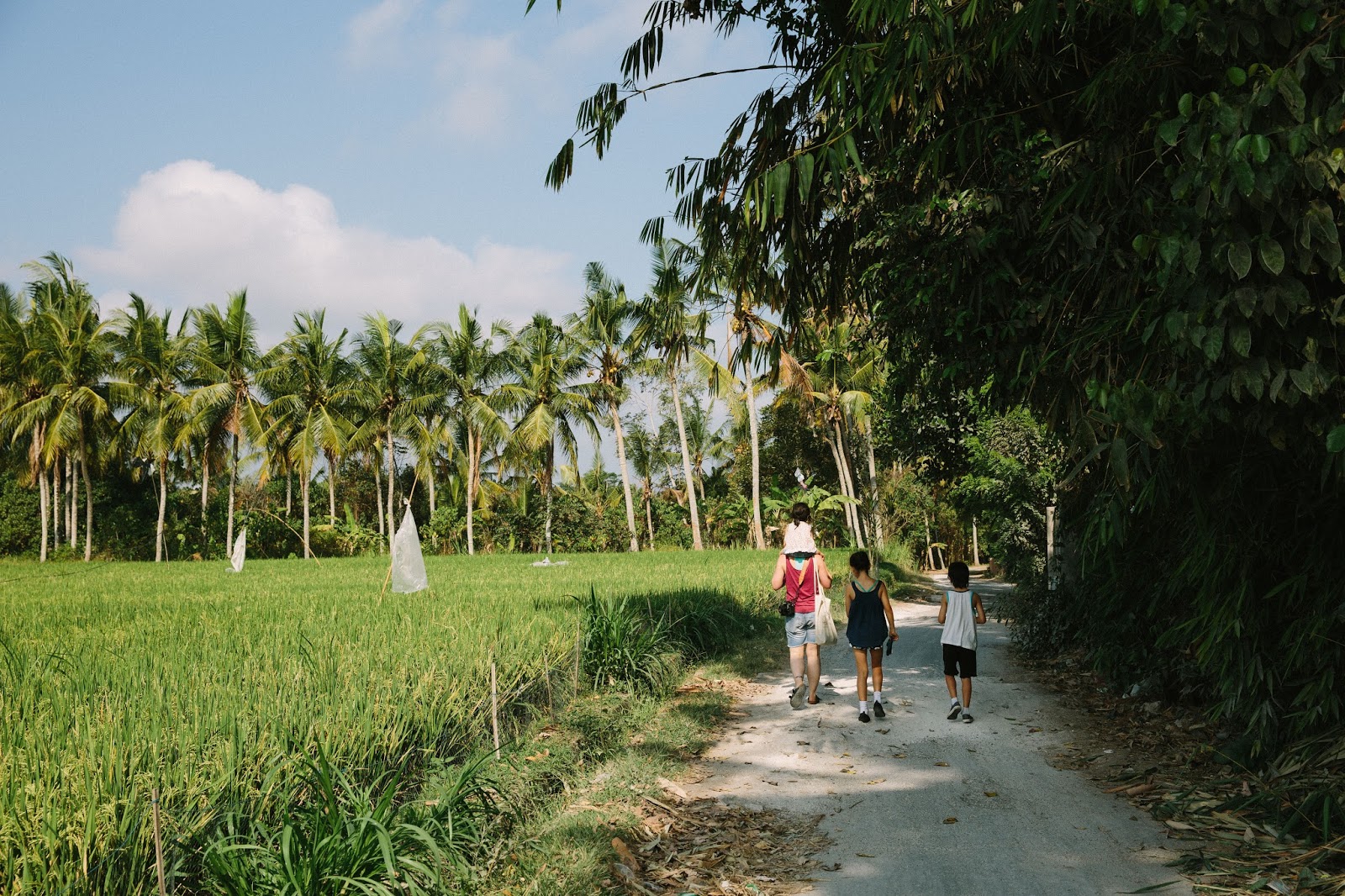 Indonesianinspired choko curry + photos from Bali! My Darling Lemon