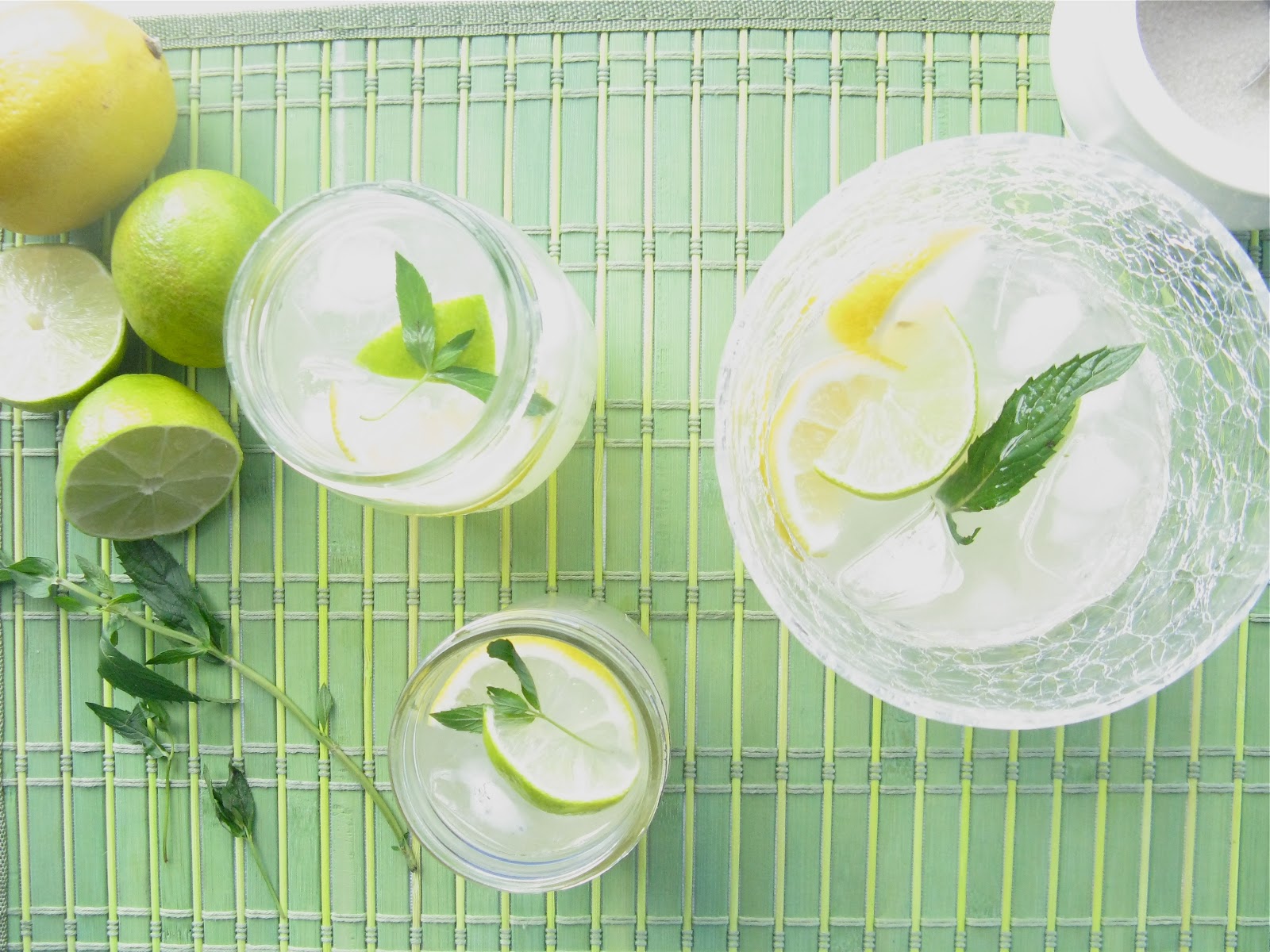 LemonLimeade with a Hint of Mint The Best of This Life