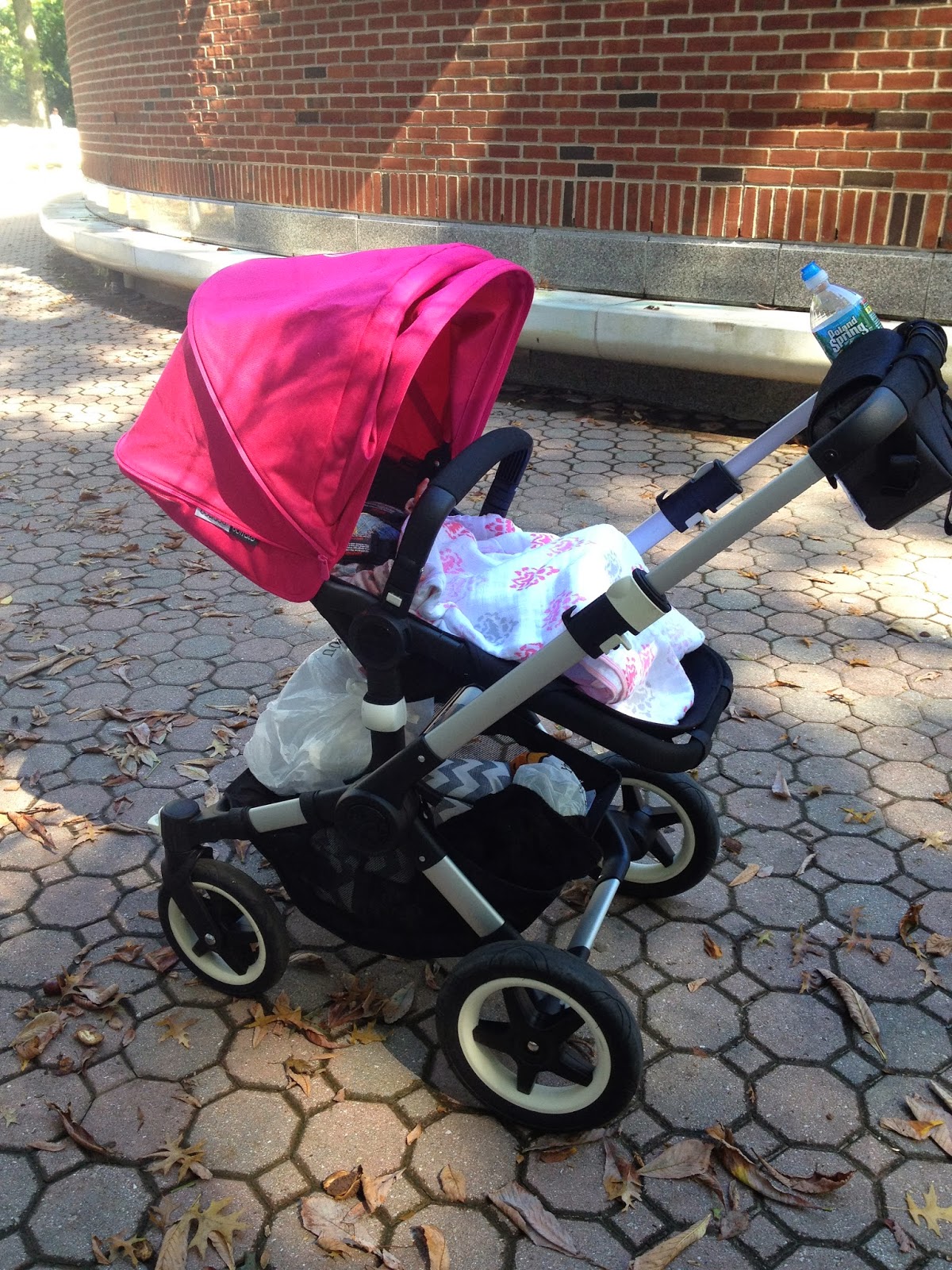 ROLL her STROLLER Bugaboo Buffalo Review