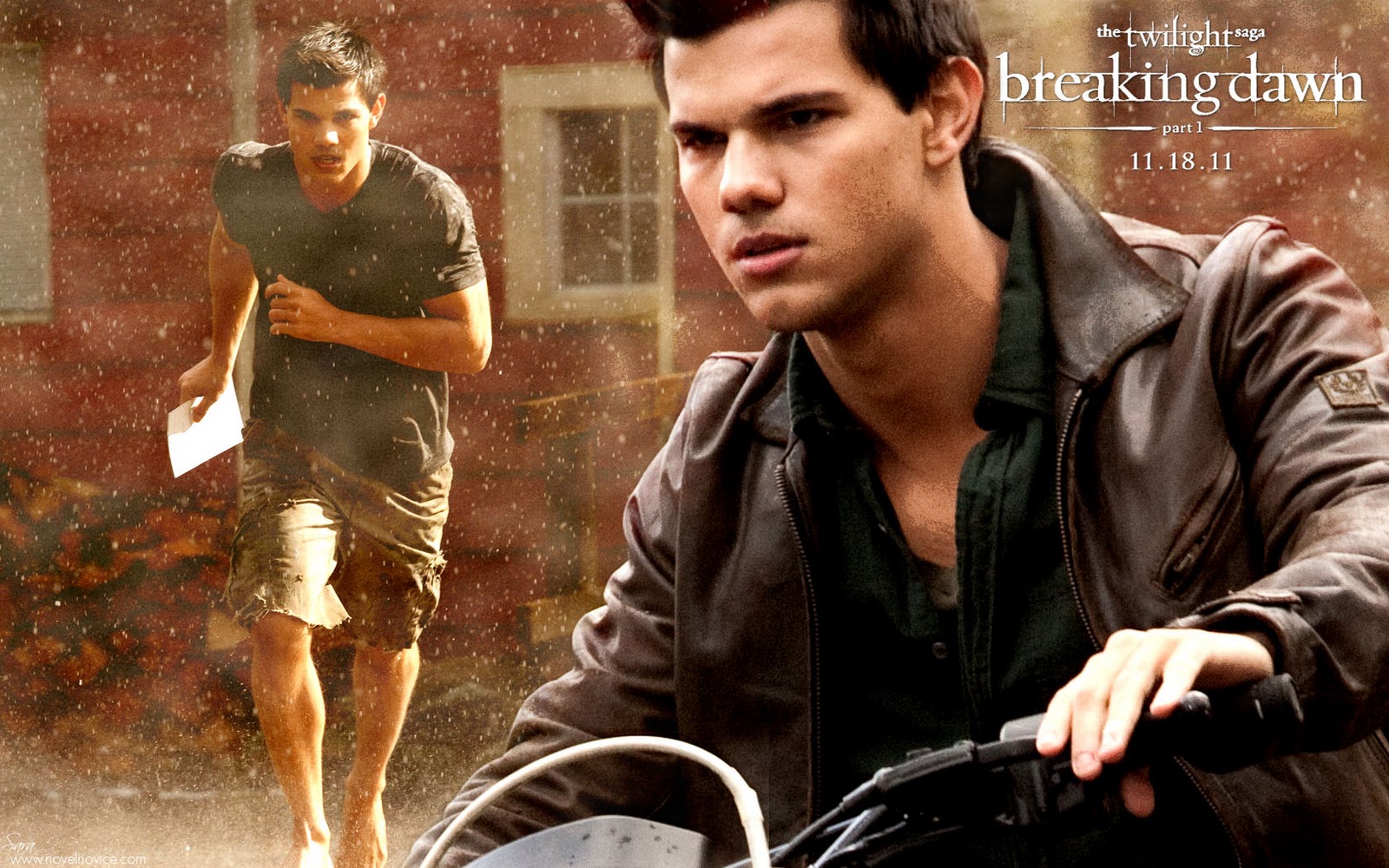 The Twilight Saga: Breaking Dawn Part 1 - Movies Maniac