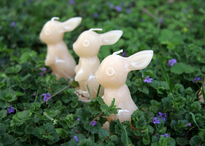 Nessy Designs Easter Bunny Candles