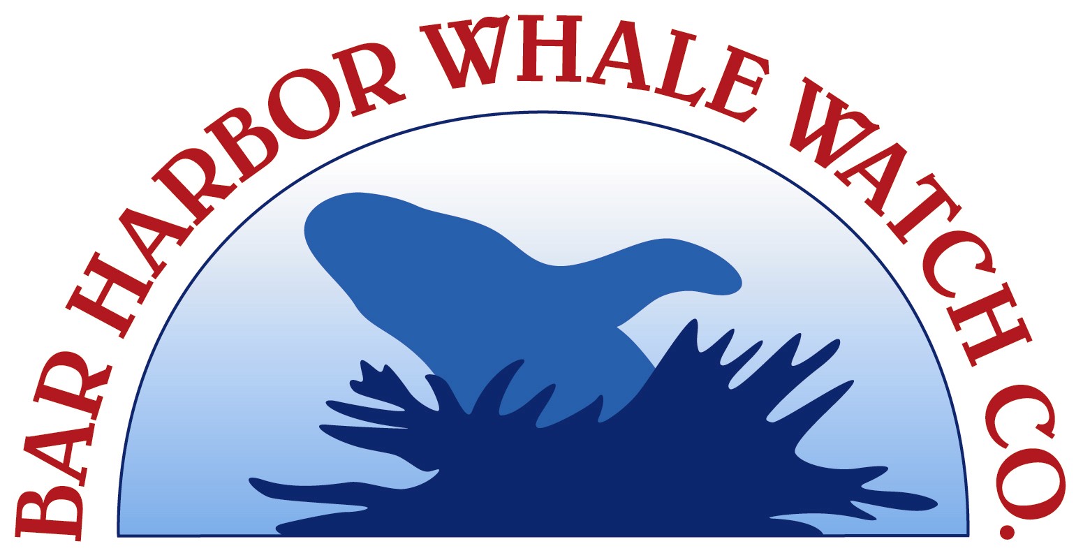 Capture America Journal Maine; Bar Harbor Lighthouse Tour and Whale Watch