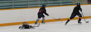 Shinny Hockey