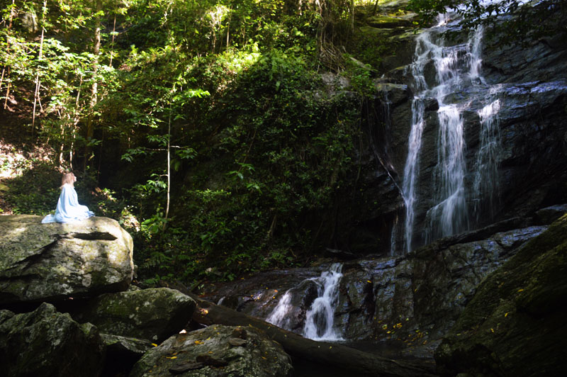 far north queensland cairns secret waterfall far north queensland cairns secret waterfall