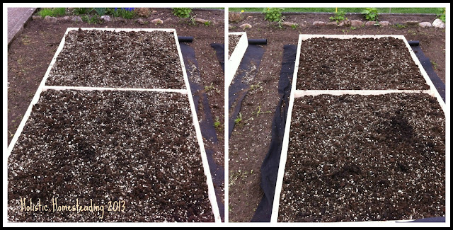 Square foot garden bed layout sfg