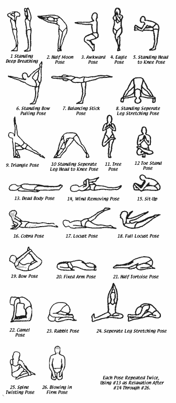 Back Gallery For Bikram Yoga Poses Pdf