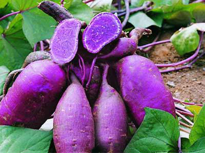 healthfame.blogspot.com healthfame.blogspot.com
