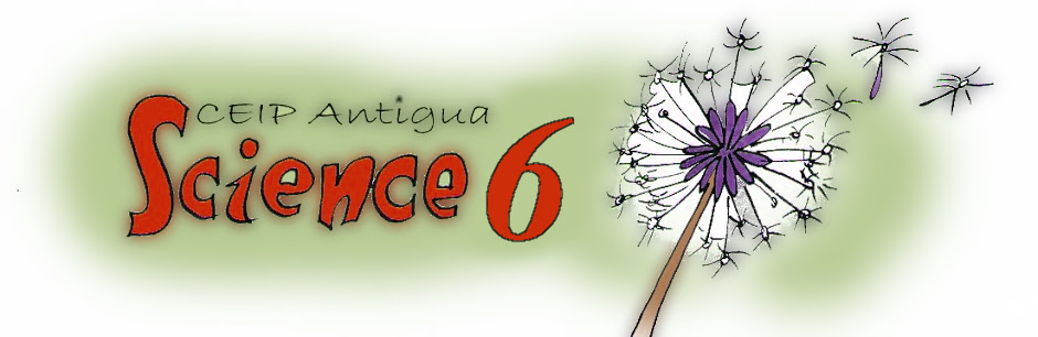 CEIP Antigua Science 6