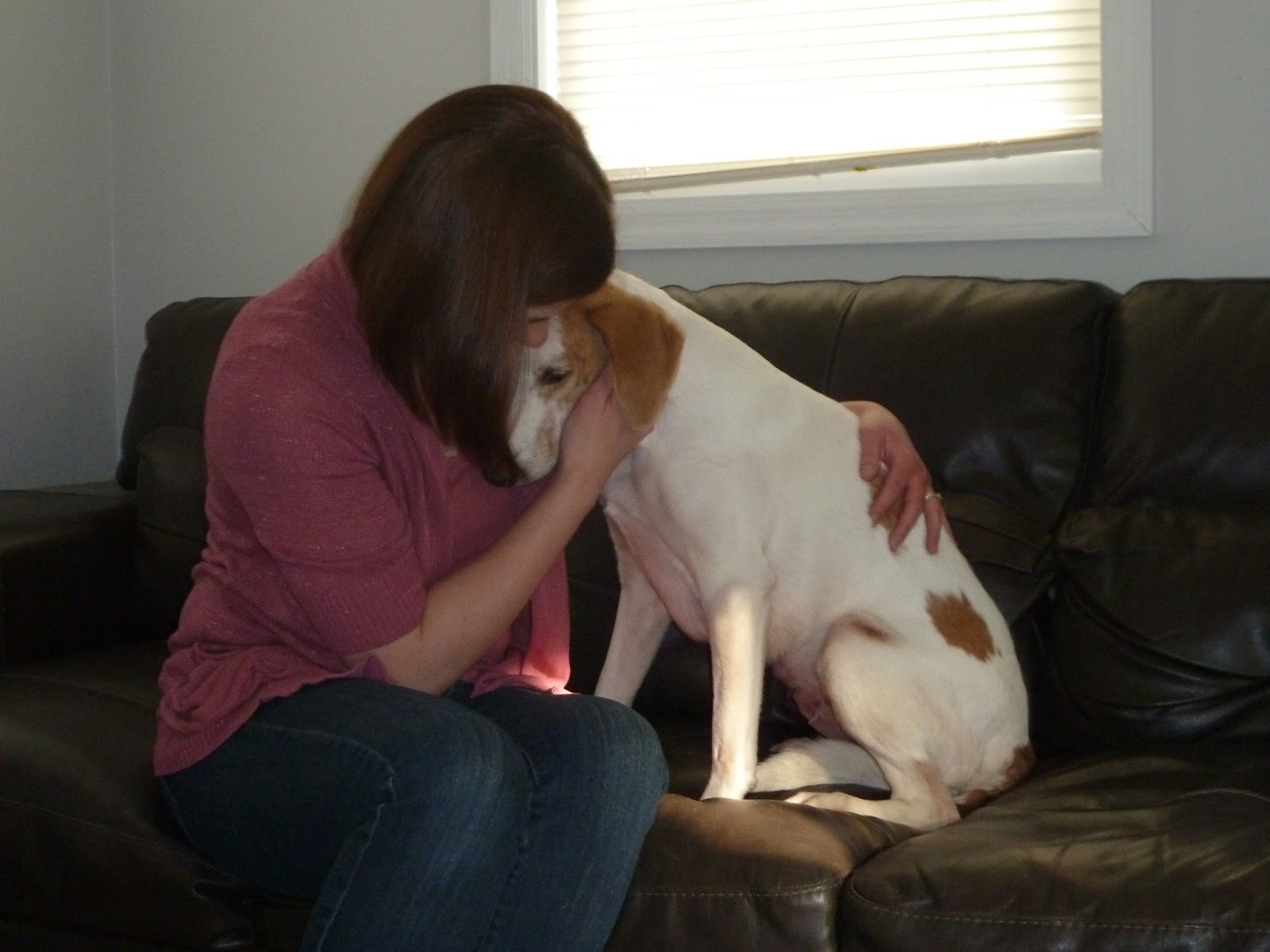 For the Love of Dogs Hounds Make GREAT Family Pets