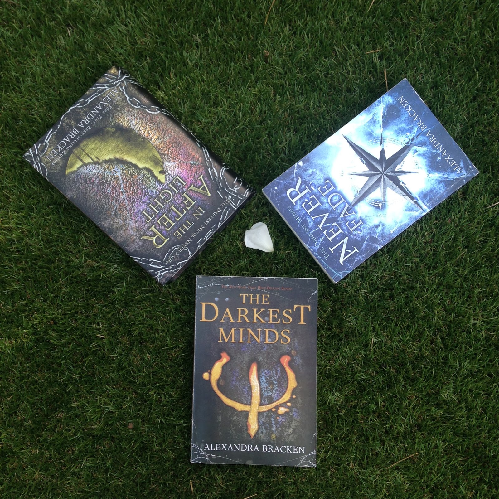 The Darkest Minds Never Fade In The Afterlight Alexandra Bracken A Belly Full Of Words