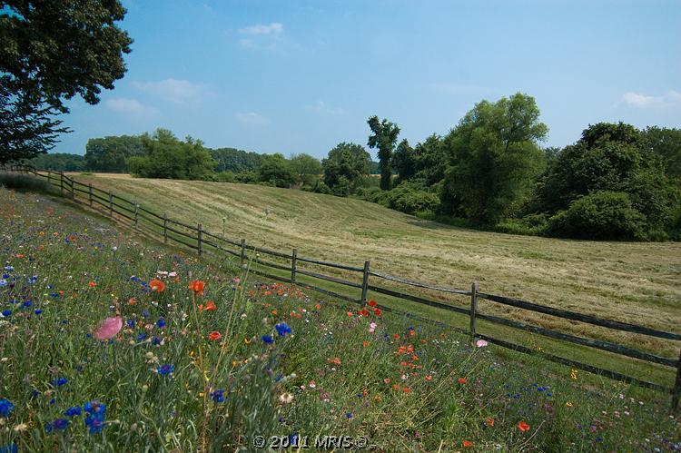 TAX BENEFITS FOR CONSERVATION EASEMENT