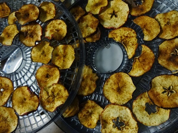 Yummy Apple Chips Recipe http://www.niftynnifer.com/2014/12/yummy-apple-chips-recipe.html #Apples #Recipes #Chips