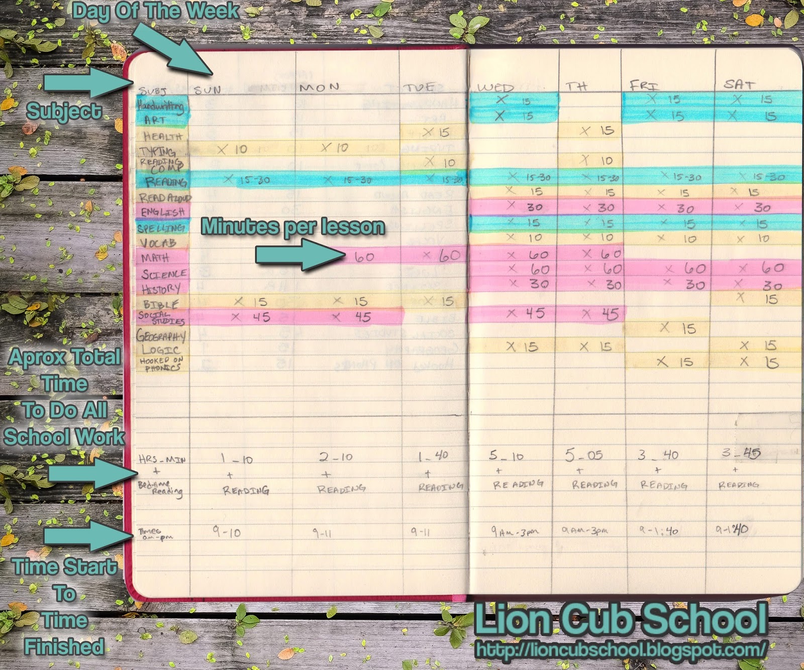 lion cub school how to plan a flexible homeschool schedule