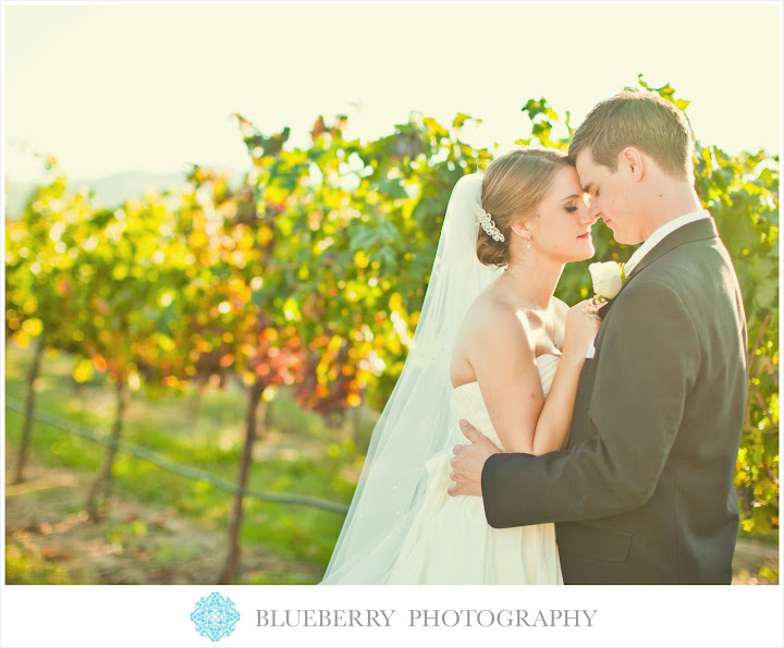Livermore vineyard winery beautiful wedding photography casa real